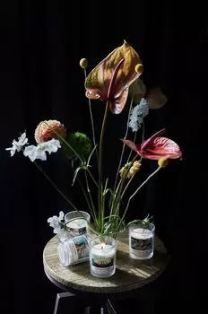 Свечи с ароматом сои, 4 шт. Medicine, мультиколор