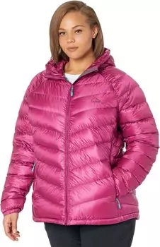Сверхлегкая куртка-пуховик 850 больших размеров с капюшоном L.L.Bean, цвет Sugarplum