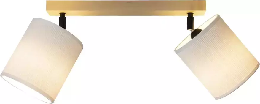 Светильник для дома "Diolo" потолочный на 2 лампочки, цвет natur