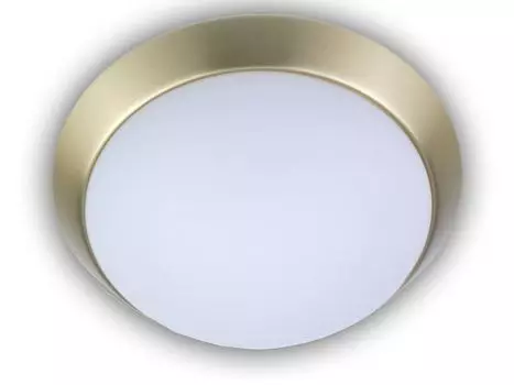 Светильник для прихожей Освещение для прихожей потолочный корпус круглый 45см опаловое стекло матовая латунь НОВИНКА Niermann Standby