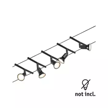 Светильник Paulmann, черный