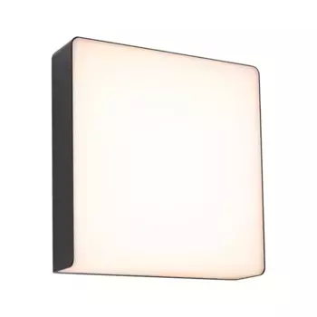 Светильник Paulmann настенный светодиодный 25,0 см, цвет anthrazit