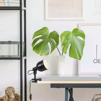 Светильник Rabalux, черный