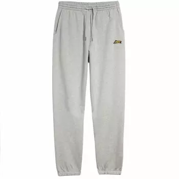 Светло-серые спортивные штаны Slater IceCream