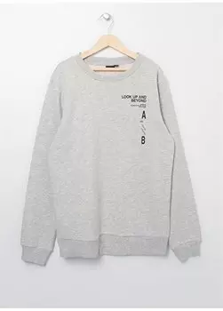 Светло-серый - Серый свитшот с круглым вырезом и длинными рукавами с принтом для мальчиков NLMKRAG LS O-NECK SWEAT Lmtd, серый