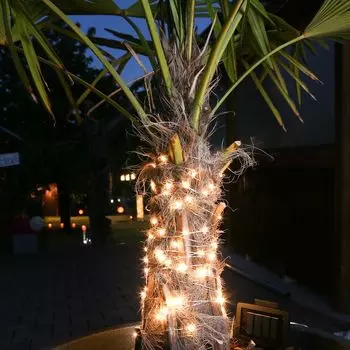 Светодиодная цепочка на солнечных батареях - 50 светодиодов теплого белого цвета - функция мигания - L: 4,9 м - сумеречный датчик - серебристый MARELIDA