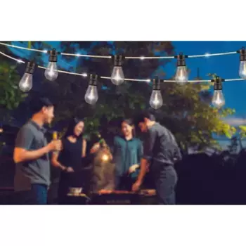 Светодиодная гирлянда Globo