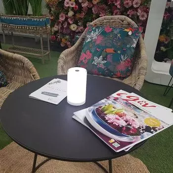 Светодиодная настольная лампа на аккумуляторе Tub USB-C с управлением через приложение LICHT-TREND, белый