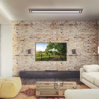 Светодиодная потолочная панель Paul Neuhaus Palma в натуральном темном и черном цвете 2x24Вт 1500лм, коричневый