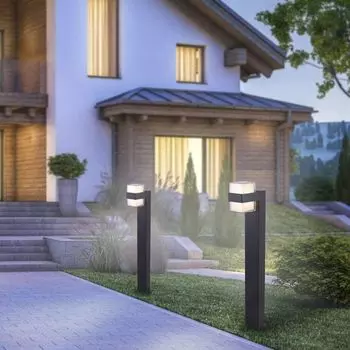 Светодиодный дорожный светильник Paul Neuhaus Cara антрацитового цвета 2x 5 Вт 700 лм IP44, черный