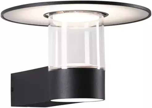 Светодиодный настенный светильник Paulmann для наружного освещения "Sienna 230V с PIR-датчиком антрацит IP44", 1 лампочка, устойчив к морской воде 21,2 см, Высота: 12,8 см, цвет anthrazit