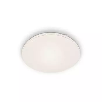 Светодиодный потолочный светильник BRILONER LEUCHTEN RUPA, 48 Вт, 5100 лм, IP20, белый, пластик-металл, с регулируемой яркостью, 53 см