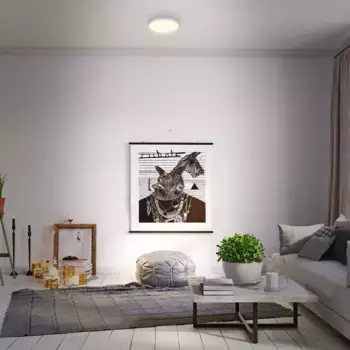 Светодиодный потолочный светильник Briloner, серебряный