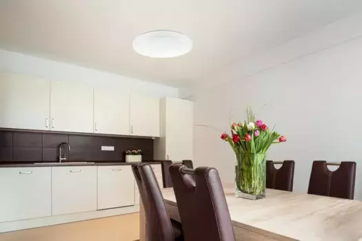 Светодиодный потолочный светильник EGLO, белый