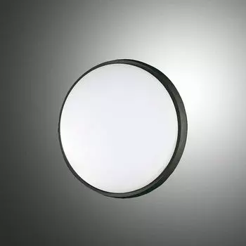 Светодиодный потолочный светильник Fabas Luce Olly, прозрачный сатиновый и черный, 24 Вт, 900 лм, IP54