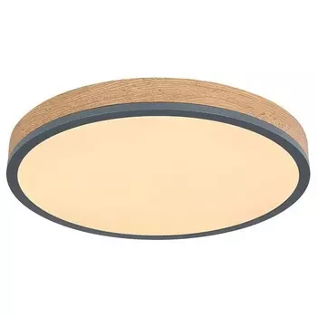 Светодиодный потолочный светильник Globo Lighting Doro Typ B