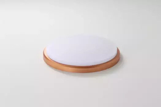 Светодиодный потолочный светильник JDONG