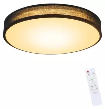 Светодиодный потолочный светильник Nettlife Debra, черный