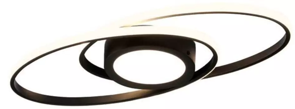 Светодиодный потолочный светильник Nettlife Einugig, черный