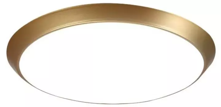 Светодиодный потолочный светильник Nettlife Frisbee, золотой
