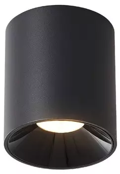 Светодиодный потолочный светильник Nettlife Kraft, черный