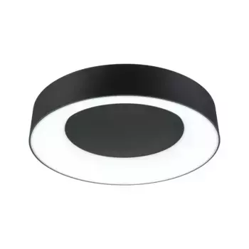 Светодиодный потолочный светильник Paulmann "Casca IP44 White Switch 2100lm 230V 23W Matt Black", 1 лампочка 40,0 см, Высота: 7,1 см, черный