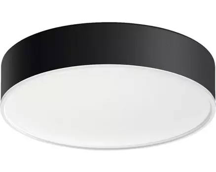 Светодиодный потолочный светильник Philips hue металл/пластик 9,6 Вт 950 лм CCT 2200- 6500 K Hx 66x261 мм Enrave черный - Совместимость с SMART HOME от Hornbach