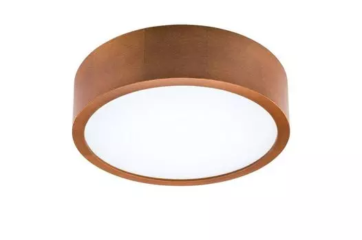 Светодиодный потолочный светильник RUSTIC LED 12 27см В:8см Lamkur