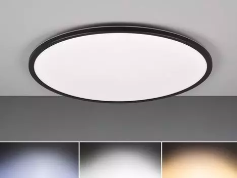 Светодиодный потолочный светильник SCOTT черный 50см R64381032 Reality Leuchten