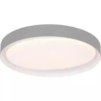 Светодиодный потолочный светильник TRIO Leuchten «Zeta», 49 см, серый