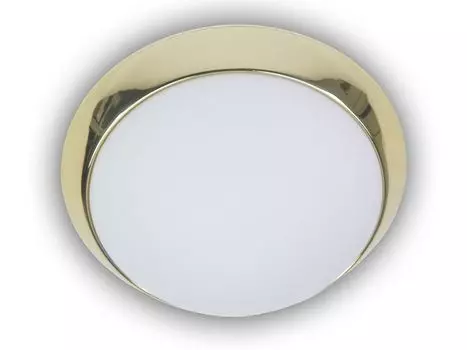 Светодиодный светильник для лестничной клетки опаловое стекло матовая полированная латунь 45см Светодиодный светильник для погреба Niermann Standby