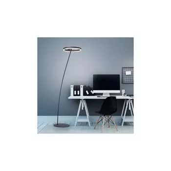 Светодиодный торшер Paul Neuhaus Titus антрацитового цвета 23,5 Вт 770 лм, черный