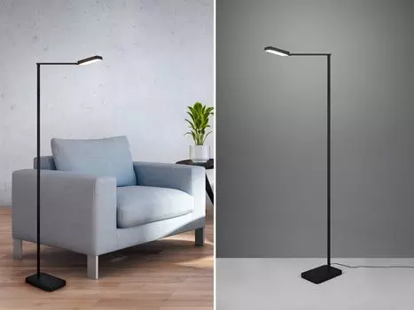 Светодиодный торшер PAVIA черный TRIO