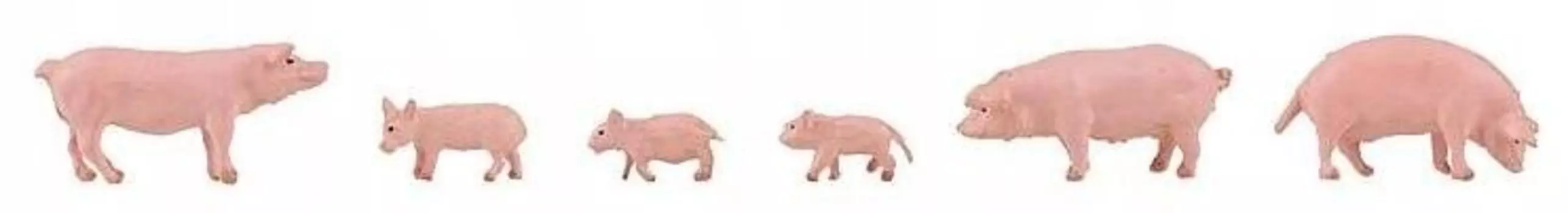 Свиньи, Фаллер 151910 Faller