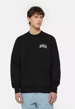 Свитер Aitkin Chest Dickies, черная корона ble
