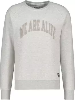 Свитер Alife and Kickin Sweatshirt LevinAK, цвет grey/mottled grey