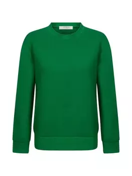 Свитер Antioch Sweatshirt, зеленый