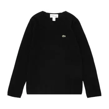 Свитер Comme Des Garons SHIRT Comme des Garons SHIRT x Lacoste Knit 'Black', черный