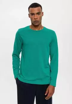 Свитер Crewneck Antioch, зеленый