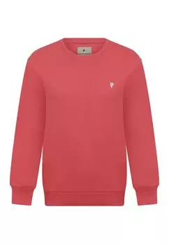 Свитер DENIM CULTURE Sweatshirt Felicity, цвет pastel red