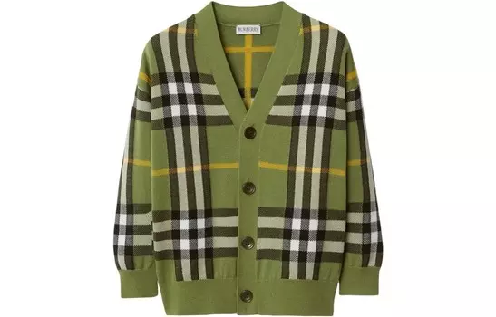 Свитер детский Burberry в полоску, зеленый