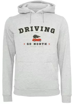 Свитер F4NT4STIC Hoodie Driving Home Weihnachten Driving Home Weihnachten, цвет grau meliert