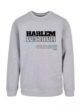 Свитер F4NT4STIC Sweatshirt Harlem, серый
