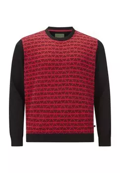 Свитер ЭРЛ АЛАН Charles Colby, черный