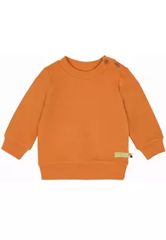 Свитер Loud + proud в рубчик, морковный, 100% биохлопок