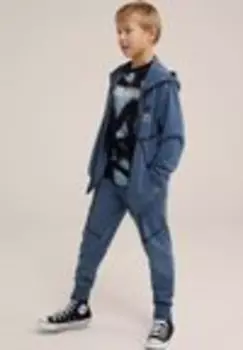 Свитер на молнии SALTY DOG We Fashion, голубовато-серый