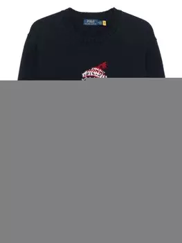 Свитер Polo Ralph Lauren Polo с мотивом медведя, синий
