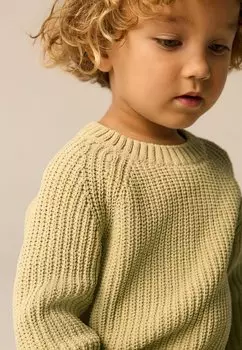 Свитер REGULAR FIT - CREW NECK Next, зеленый