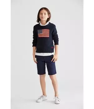 Свитер с американским флагом Polo Ralph Lauren для больших мальчиков 8–20, синий