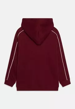 Свитер с капюшоном CORNELL YOUTH Element, Бордо